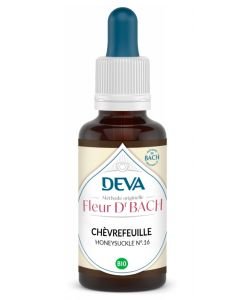 Chèvrefeuille (Honeysuckle - N°16)